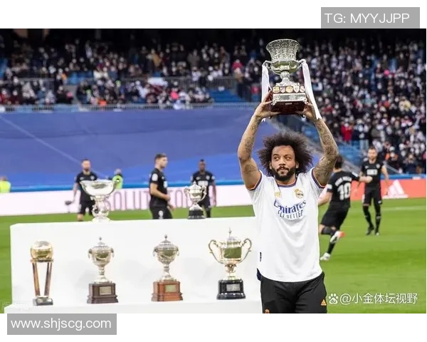 退役足球球星的传奇人生与赛场外的精彩转型之路